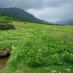 初日の暑さから来た疲れが抜け切らなくて、2日めも体が重い。。黒部五郎岳山頂はガスの中なので登頂はやめて、小屋でじっくり休むことにしました。