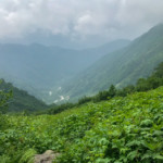 シシウドが原で雨で湿った装備を乾かしながら長めの休憩。