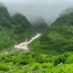 稜線付近は雲の中のようで、気持ちもどんより。