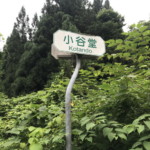 小谷堂から入渓点まで、林道を歩いた。(1時間30分)